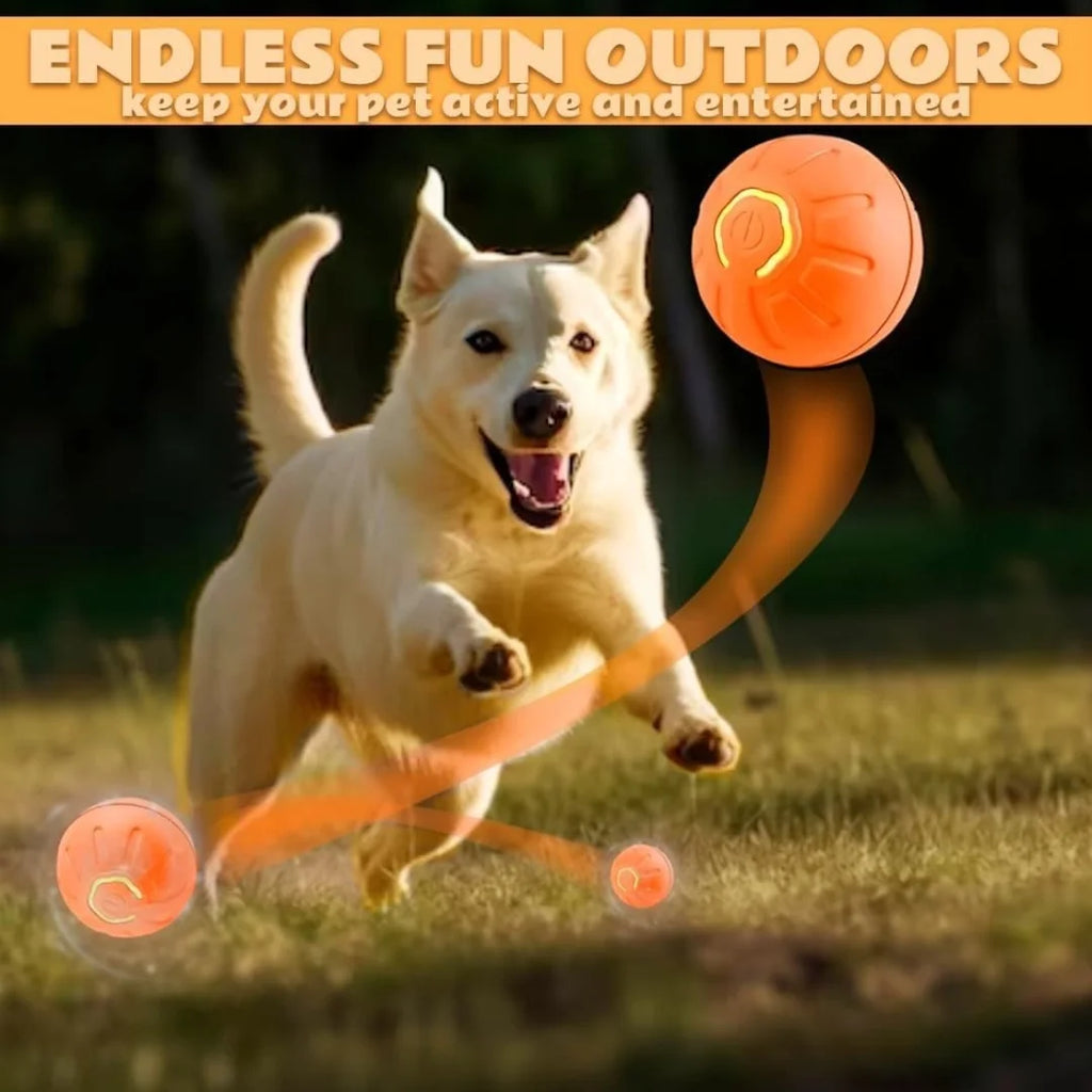 S23366006d12d4e08a80183408587038d7