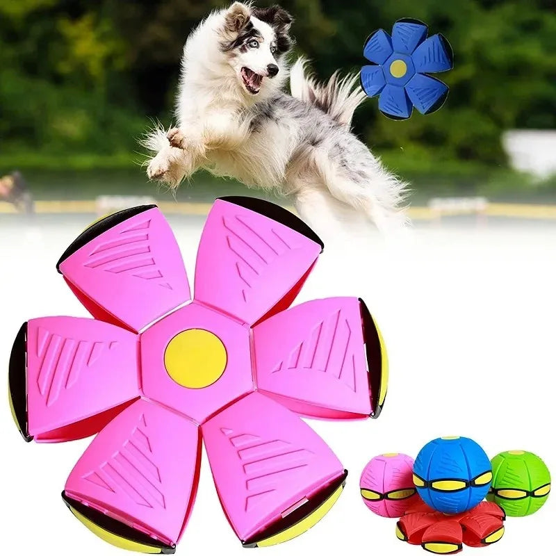 Sb8e07dd5765247e5b9ef6ec2a00890a5z